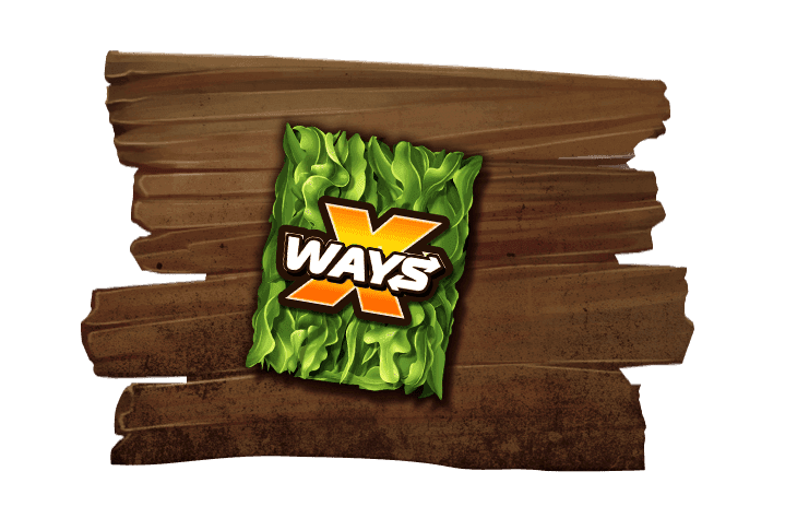 xWays® image